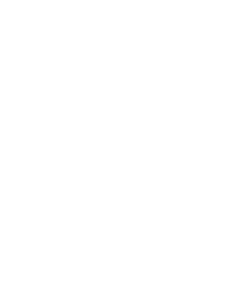 BTSM Merch logo